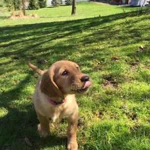 Meet your Posher, Linda